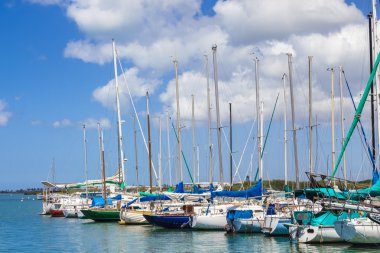 Club marina 1 yelken