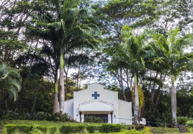 ağaçların Tapınağı