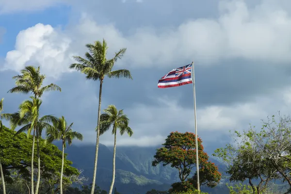 Hawaiian flagga — Stockfoto