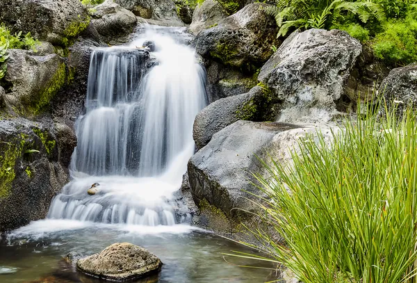 Cachoeira — Fotografia de Stock