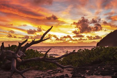 Makapuu Sunrise