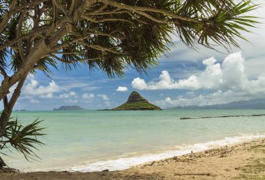 Chinaman's Hat clipart