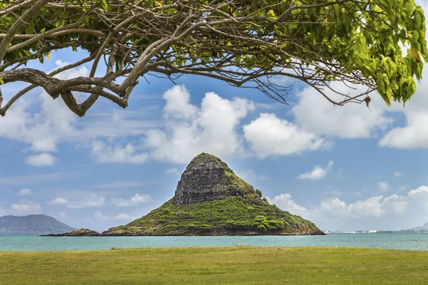 Chinaman's Hat — Stock Photo, Image