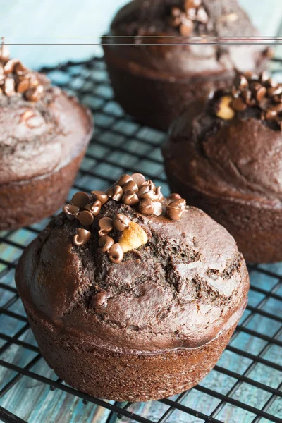 Bolinho de chocolate — Fotografia de Stock