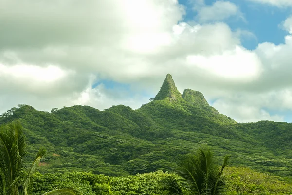 Olomana cresta — Foto Stock