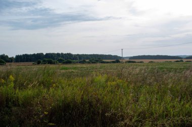 Açık bir günde, yazın tarlada toprak yol var.