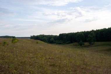 Orta Rusya 'da bir orman vadisi. Yazın