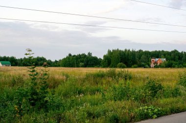 Yazın, ormanın kıyısındaki güzel tuğla ev.