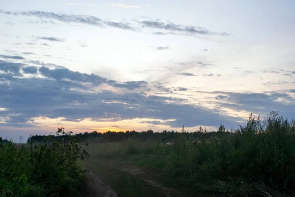 Grusväg Genom Fältet Sent Kvällen Sommaren — Stockfoto