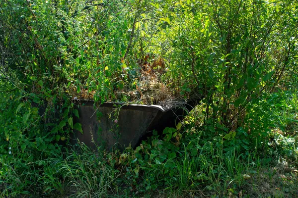 庭の古い金属樽夏には — ストック写真