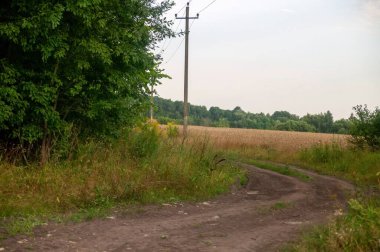 Açık bir günde, yazın tarlada toprak yol var.