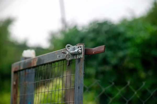 Vieille Porte Dans Clôture Dans Jardin Été — Photo