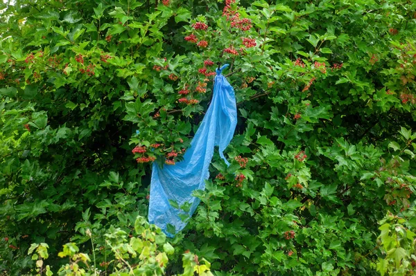 Polietileno Azul Sobre Madera Lugar Peluche Verano —  Fotos de Stock