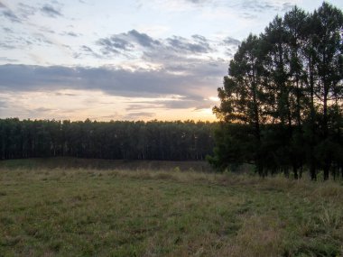 Yazın, ormanlık bir vadide, açık bir günde gün batımı