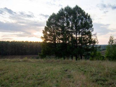 Yazın, ormanlık bir vadide, açık bir günde gün batımı