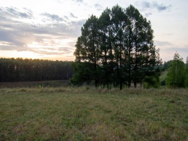 Yazın, ormanlık bir vadide, açık bir günde gün batımı