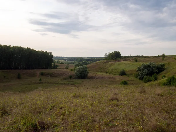 Sunset Clear Day Wooded Ravine Summer — Stock Photo, Image