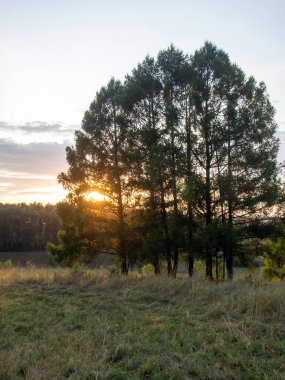Yazın, ormanlık bir vadide, açık bir günde gün batımı