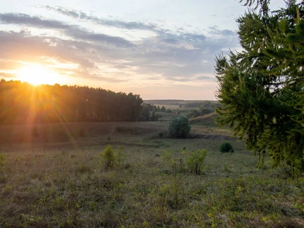 Solnedgång Klar Dag Över Skogsklädd Ravin Sommaren — Stockfoto