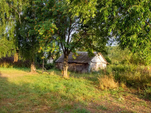 Ancienne Grange Parmi Les Arbres Village Été — Photo