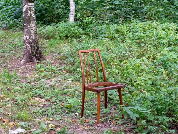 Broken Wooden Chair Woods Summer — Stock Photo, Image