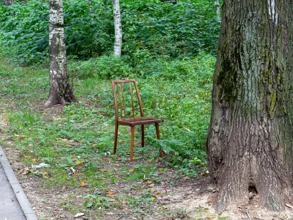 Zerbrochener Holzstuhl Wald Sommer — Stockfoto