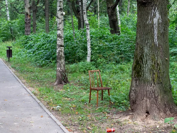 Silla Madera Rota Bosque Verano — Foto de Stock