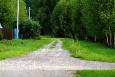 Yazın köyde yol ayrımı.