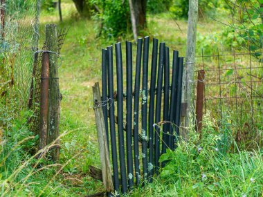 Bahçedeki eski kapı, yazın.