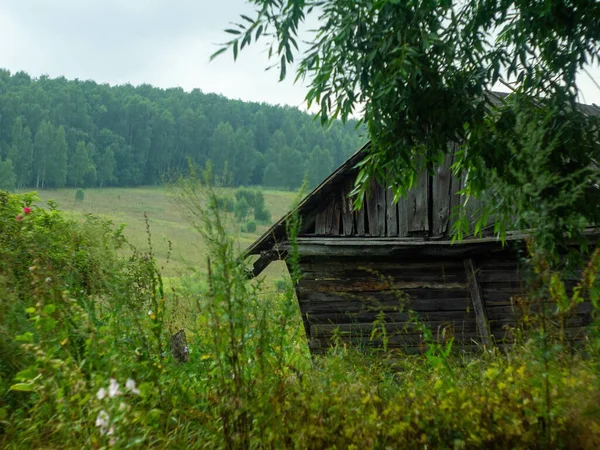 Старий Дерев Яний Навіс Селі Влітку — стокове фото