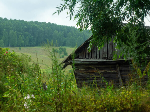 Old wooden shed in the village, in summer