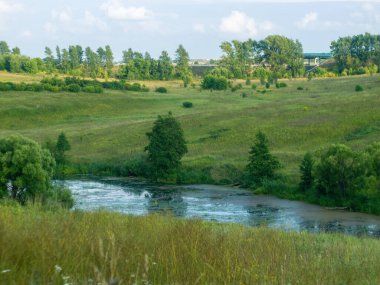 Yazın küçük bir nehrin ağaçlarla kaplı kıyısı