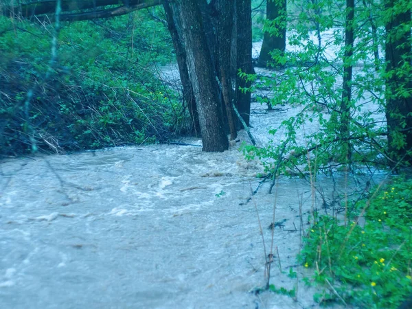 Silny Przepływ Wody Lesie Wiosną — Zdjęcie stockowe