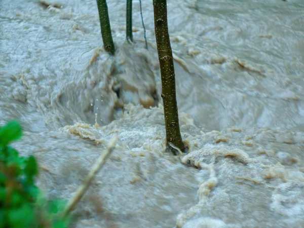 Сильний Потік Води Лісі Навесні — стокове фото