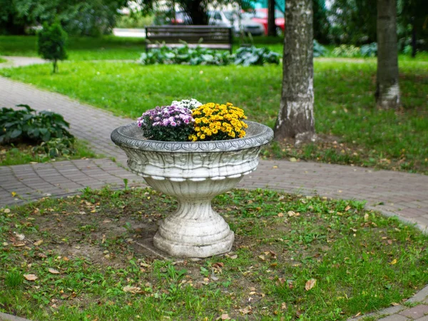 Blumenbeet Mit Blumen Hof Des Hauses Frühling — Stockfoto