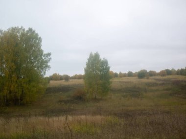 Rusya 'nın orta kesiminde bulutlu bir sonbahar gününde manzara