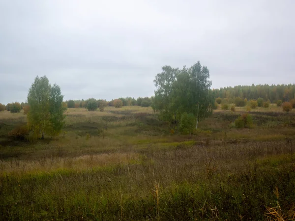 Landschaft Einem Bewölkten Herbsttag Zentralrussland — Stockfoto