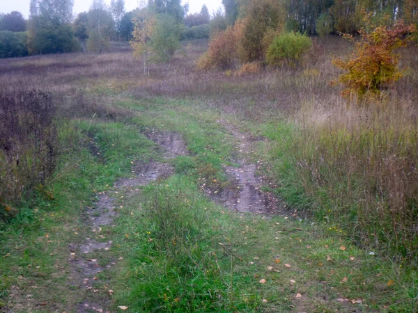 Paesaggio Una Nuvolosa Giornata Autunnale Russia Centrale — Foto Stock