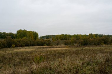 Rusya 'nın orta kesiminde bulutlu bir sonbahar gününde manzara