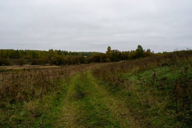 Rusya 'nın orta kesiminde bulutlu bir sonbahar gününde manzara