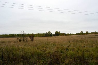 Rusya 'nın orta kesiminde bulutlu bir sonbahar gününde manzara