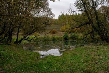 Rusya 'nın orta kesiminde bulutlu bir sonbahar gününde manzara