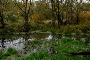 Rusya 'nın orta kesiminde bulutlu bir sonbahar gününde manzara