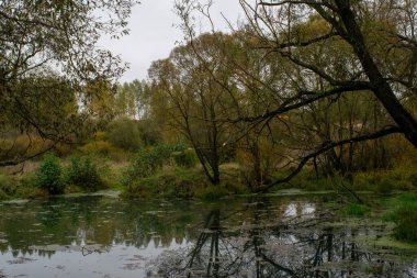 Rusya 'nın orta kesiminde bulutlu bir sonbahar gününde manzara