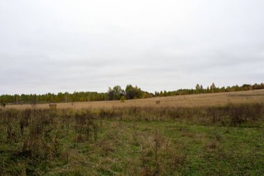 Rusya 'nın orta kesiminde bulutlu bir sonbahar gününde manzara