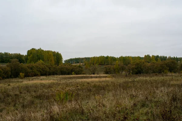 Rusya 'nın orta kesiminde bulutlu bir sonbahar gününde manzara