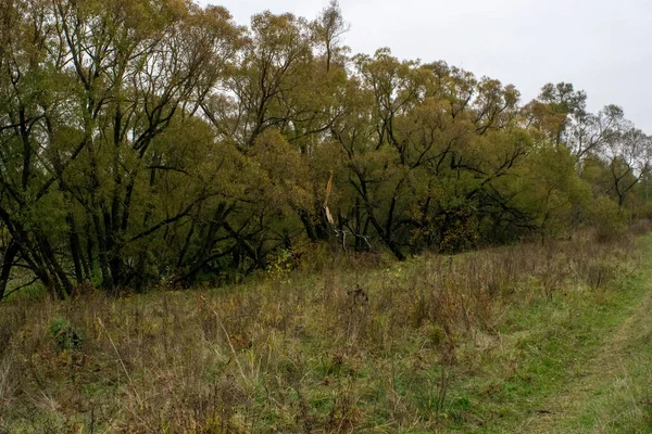 Landschap Een Bewolkte Herfstdag Centraal Rusland — Stockfoto