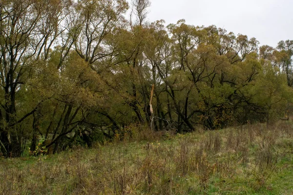 Landschap Een Bewolkte Herfstdag Centraal Rusland — Stockfoto