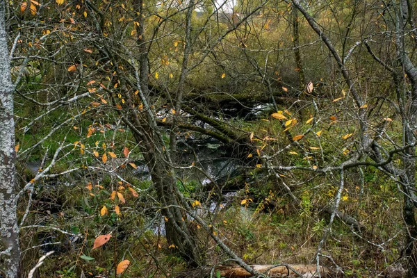 Landschaft Einem Bewölkten Herbsttag Zentralrussland — Stockfoto