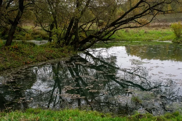 Landschaft Einem Bewölkten Herbsttag Zentralrussland — Stockfoto